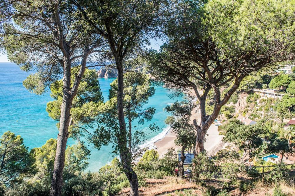 Camping Sunissim Cala Llevado 4 By Locatour Hotel Tossa de Mar Exterior foto